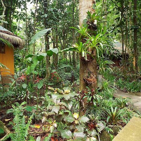 Korrigan Lodge Cahuita Exterior foto