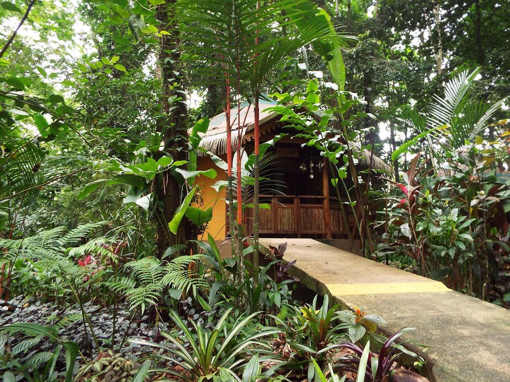 Korrigan Lodge Cahuita Cameră foto