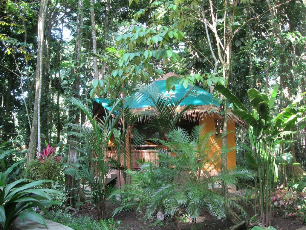 Korrigan Lodge Cahuita Cameră foto