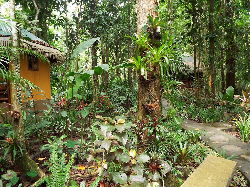 Korrigan Lodge Cahuita Exterior foto