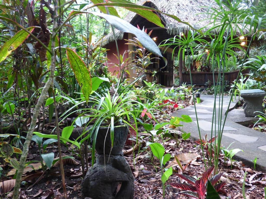 Korrigan Lodge Cahuita Exterior foto