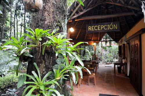 Korrigan Lodge Cahuita Exterior foto