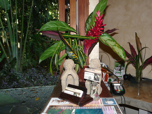Korrigan Lodge Cahuita Exterior foto